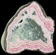 Bargain, Rhodochrosite Stalactite Slice with Pyrite - Argentina #63088-1